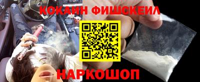 шишки Абакан