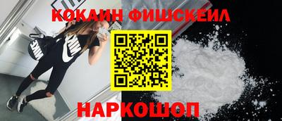 шишки Абакан