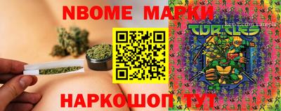 шишки Абакан