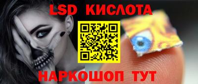 шишки Абакан
