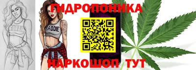 шишки Абакан