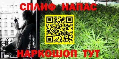 индика Азнакаево