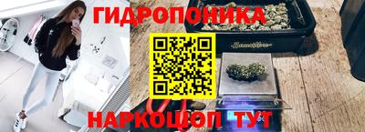 хмурый Абинск