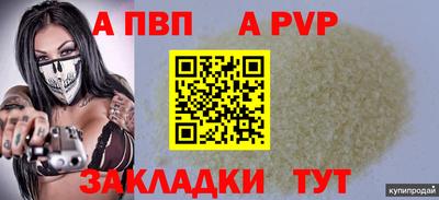 шишки Абакан