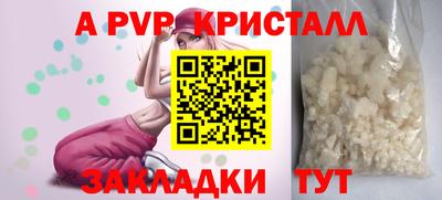 шишки Абакан