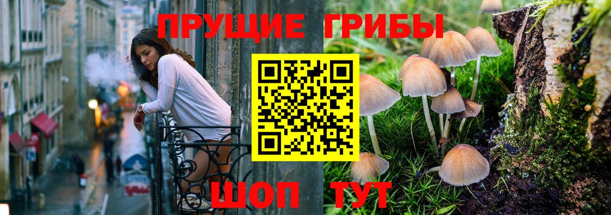 Галлюциногенные грибы MAGIC MUSHROOMS Анжеро-Судженск