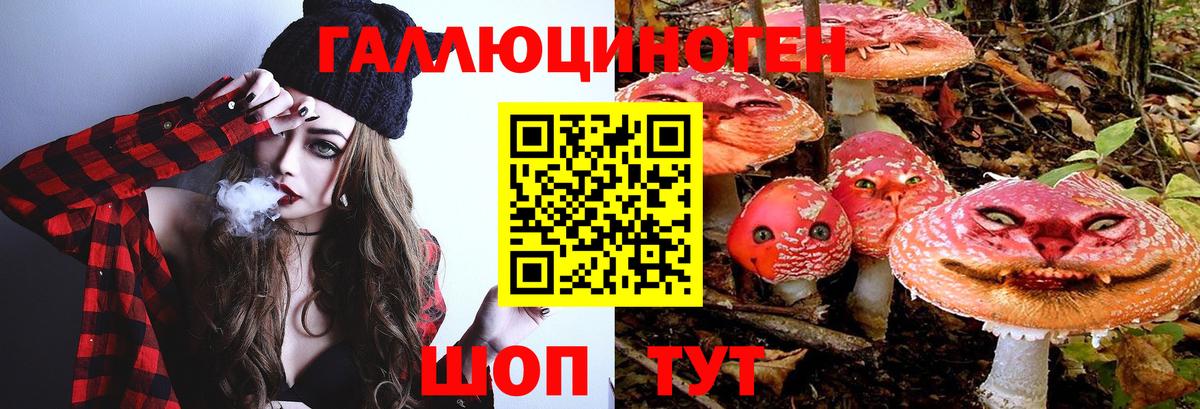 Псилоцибиновые грибы мухоморы  Вход с VPN  Анжеро-Судженск 